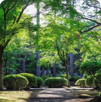 Green landscape